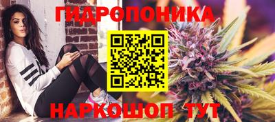 шишки Ярцево