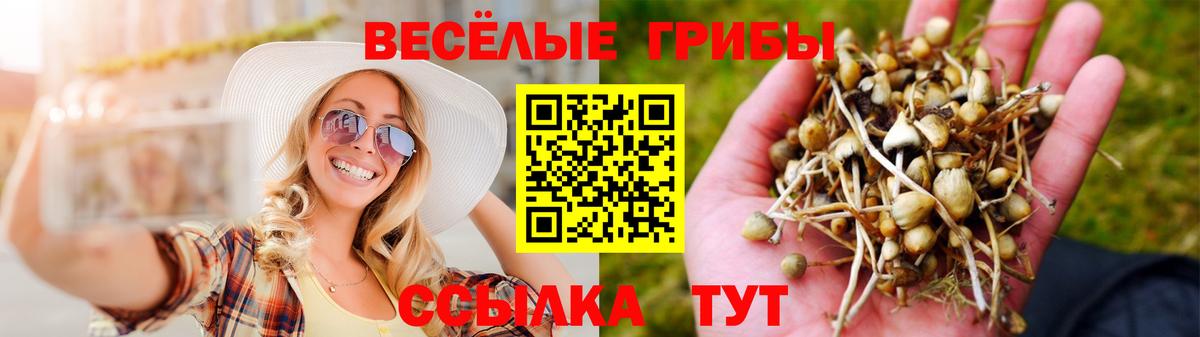 Баксан  Псилоцибиновые грибы ЛСД  Вход с VPN 